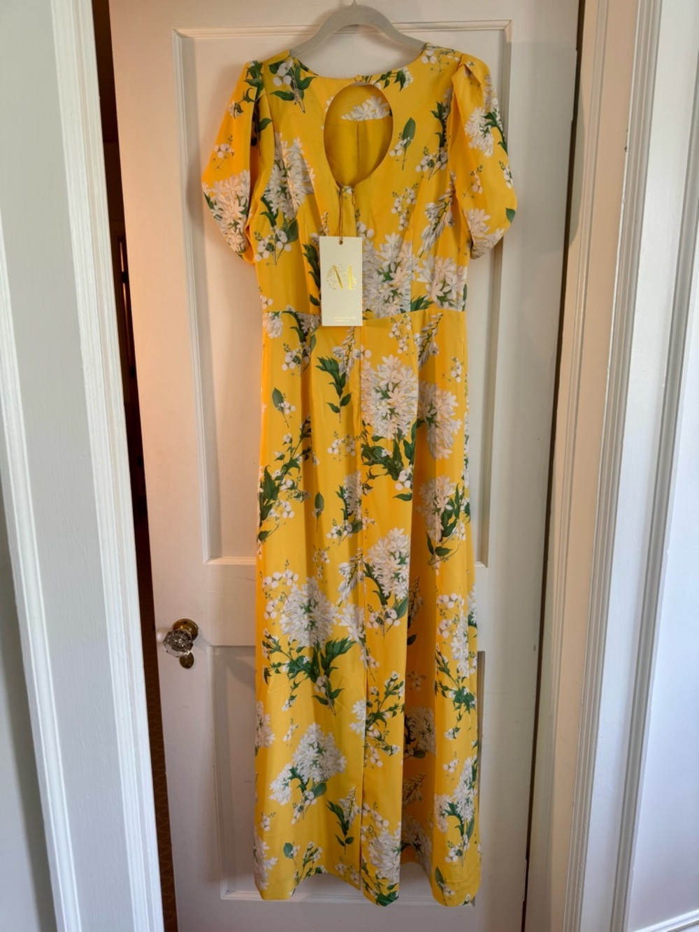 NWT Mestiza NY Katherine Maxi dress - Picture 10 of 11